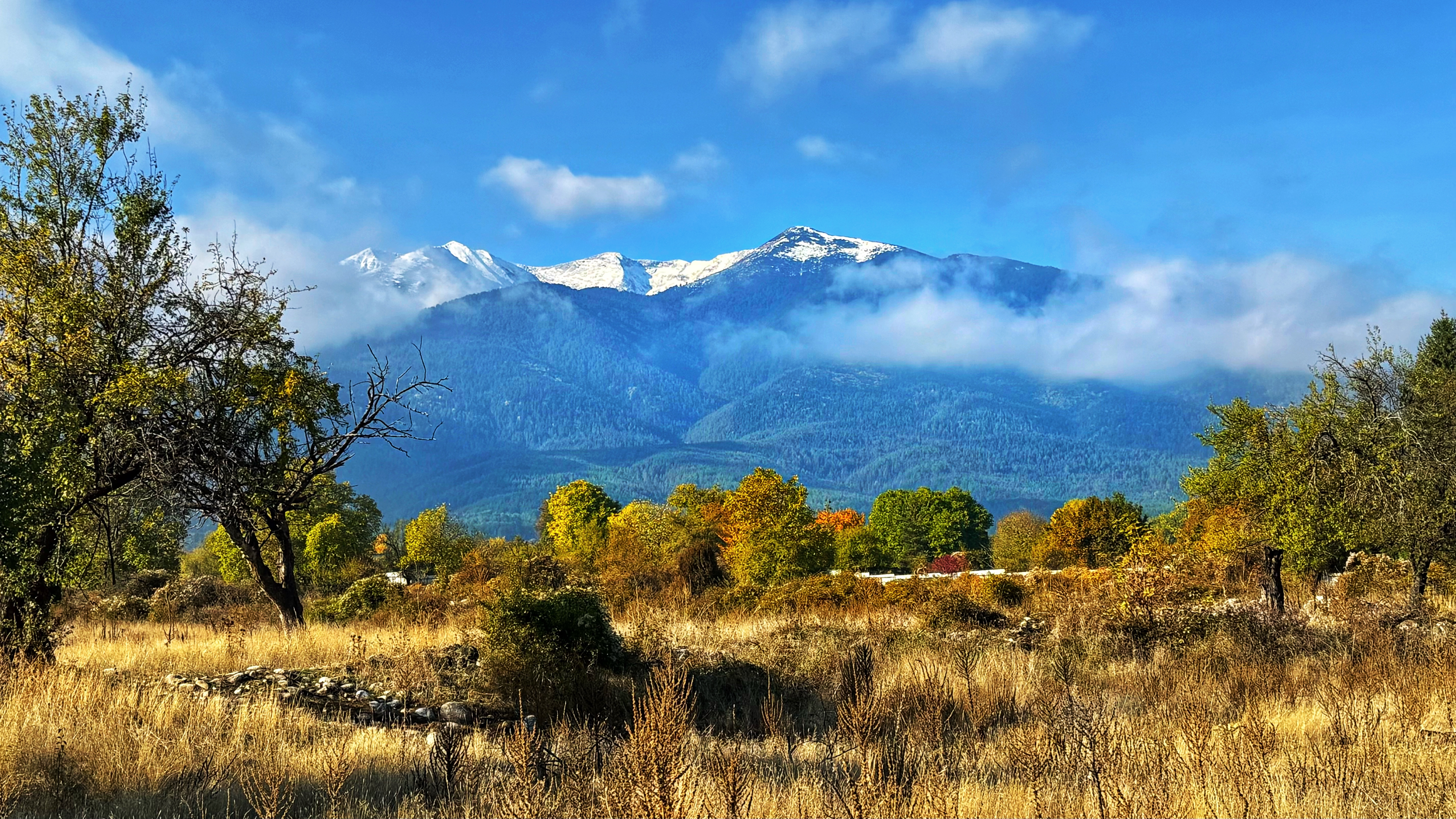 Schneebedeckte Gipfel des Pirin-Gebirges über Bansko